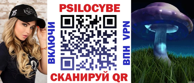Галлюциногенные грибы Psilocybe  Купить  Стародуб 